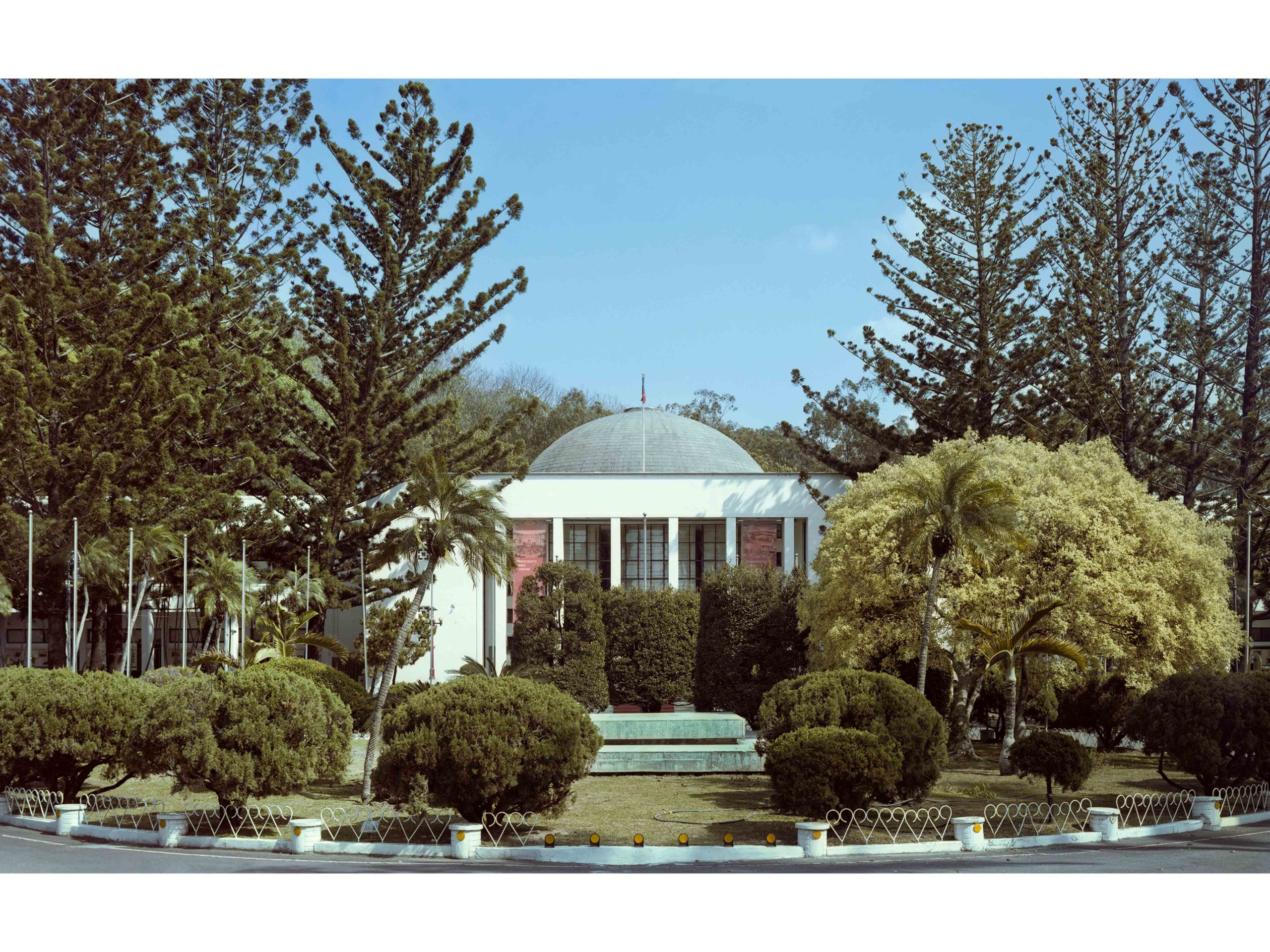 Che-Hsi Kuo, Colonial Pine